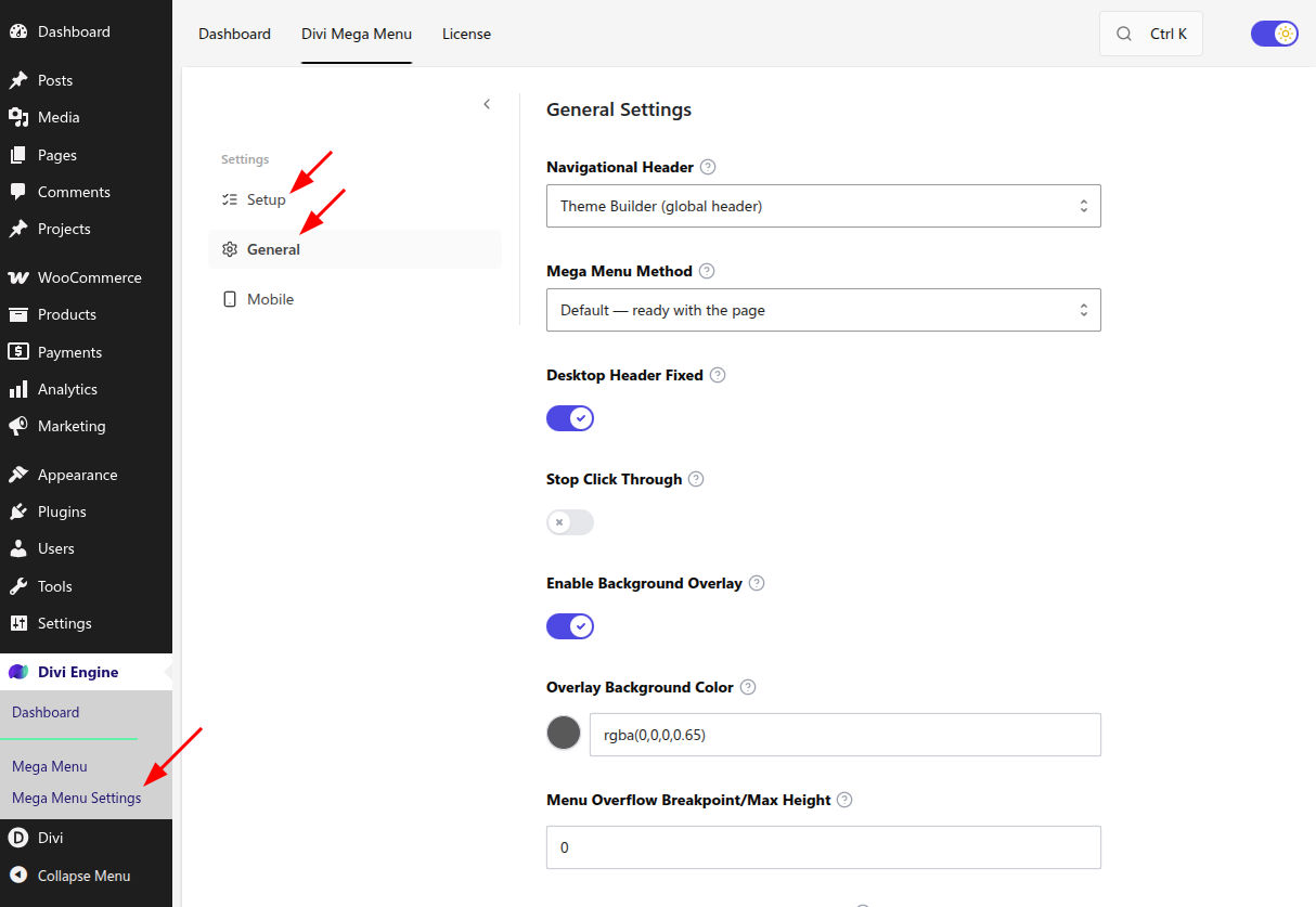 Mega Menu Settings
