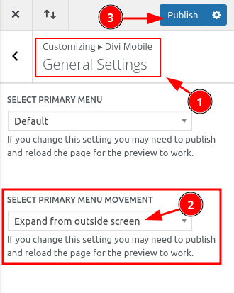 Theme customizer Settings