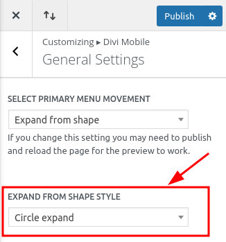 Expand from shape style settings