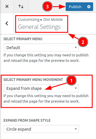 Theme Customizer Settings